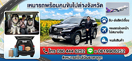 ทางศูนย์เรามีรถหลากหลายชนิดไว้ให้บริการไปกลับพัทยาและต่างจังหวัด 24 ชั่วโมงโทร 080-4446252